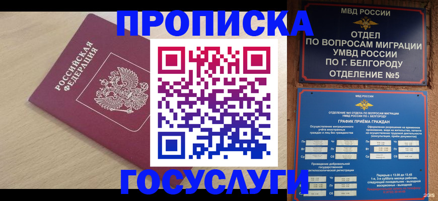 прописка законно в Полярных Зорях